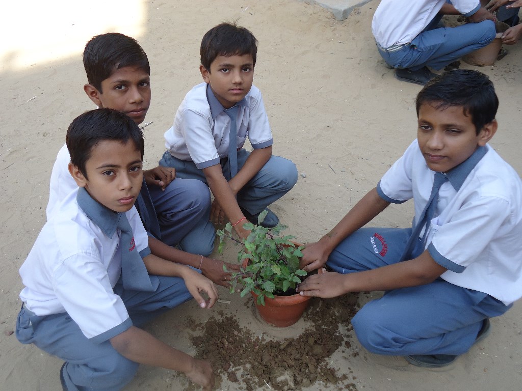 019_Plantation Event at school_1