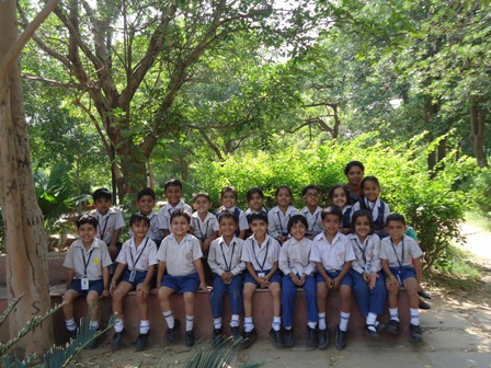 picj9